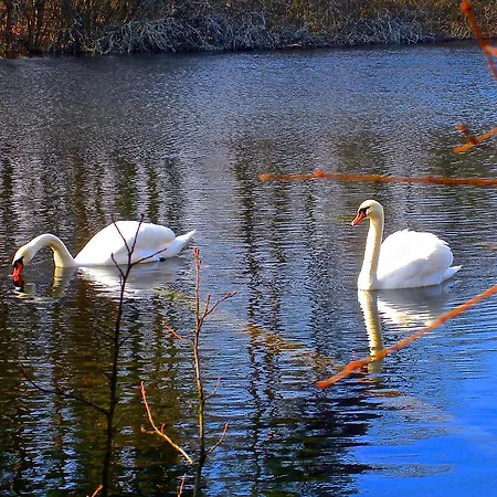 Dwor Sosnowo * Pojezierce