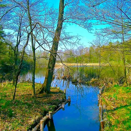 Affittacamere Dwor Sosnowo *