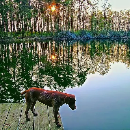 Dwor Sosnowo Pojezierce